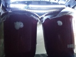 20190424_032528.jpg