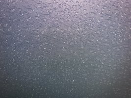 20190427_114722.jpg