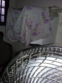 20190428_095626.jpg