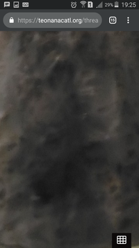 Screenshot_2019-04-29-19-25-09.png