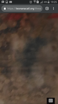 Screenshot_2019-04-29-19-25-42.png