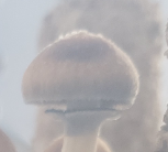 106792