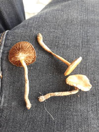 20190508_120240_Easy-Resize.com.jpg
