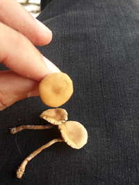 20190508_120148_Easy-Resize.com.jpg