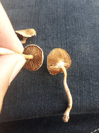 20190508_120203_Easy-Resize.com.jpg