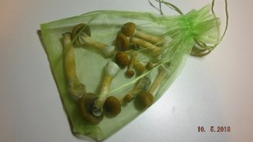 DSCF3980.JPG