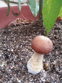 20190513_120359.jpg