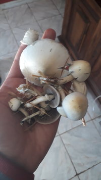 20190520_093410.jpg