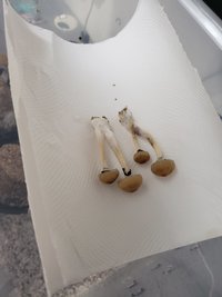 20190505_170013.jpg