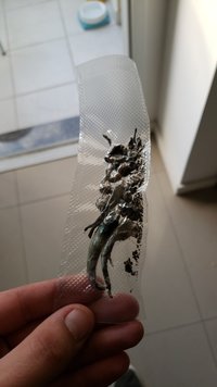 IMG-20190516-WA0013.jpeg