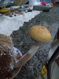 IMG_20190525_184409693.jpg