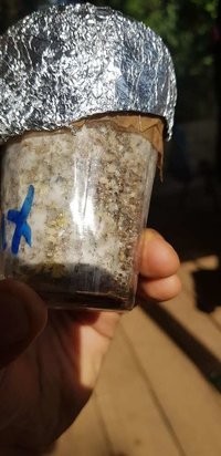 20190530_093602[1].jpg