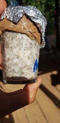 20190530_093605[1].jpg