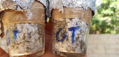 20190530_100218[1].jpg