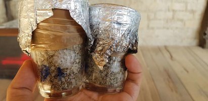 20190530_100132[1].jpg