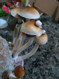 IMG_20190529_212508668.jpg
