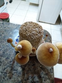 IMG_20190529_212450082.jpg