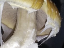 20190601_192835.jpg