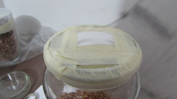 IMG_0506.JPG