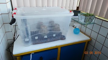 DSC03139.JPG