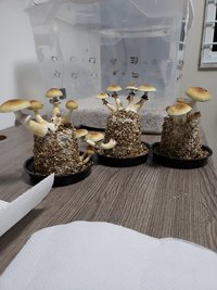 20190605_202308.jpg