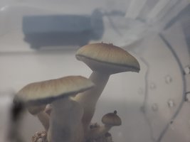20190605_200118.jpg