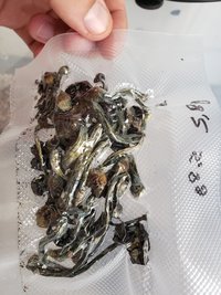 20190607_130520.jpg