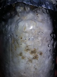 20190428_084410.jpg