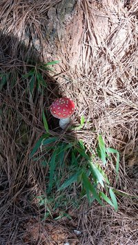 20190610_141936.jpg