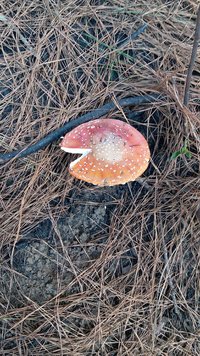 20190610_151443.jpg