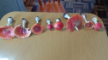 20190610_161752.jpg