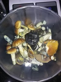 20190609_145219.jpg