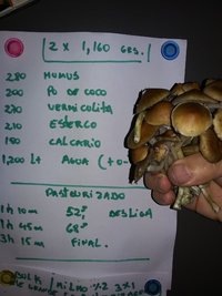 20190610_115248.jpg