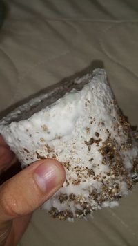 IMG-20190615-WA0001.jpeg