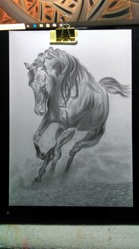 IMG_20190618_190248799_HDR.jpg IMG_20190618_190248799_HDR.jpg