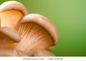107515