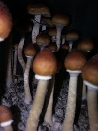 20190624_233650.jpg
