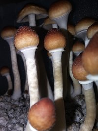 20190624_233644.jpg