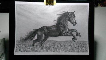 IMG_20190629_101010339.jpg IMG_20190629_101010339.jpg