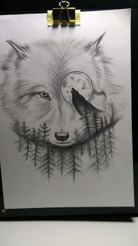 IMG_20190702_192352276.jpg IMG_20190702_192352276.jpg