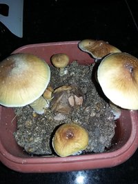 20190706_150130.jpg