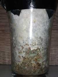 IMG_20190709_211858189.jpg