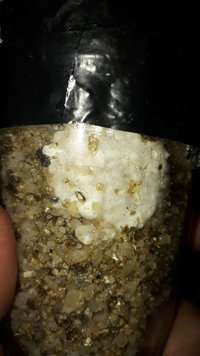 IMG-20190723-WA0119.jpeg