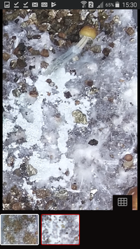 Screenshot_2019-08-04-15-30-10.png