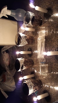 IMG-20190731-WA0070.jpeg