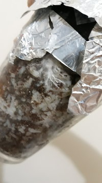 IMG-20190810-WA0006.jpeg