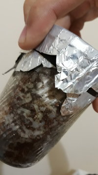 IMG-20190810-WA0005.jpeg