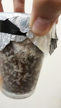 IMG-20190810-WA0007.jpeg