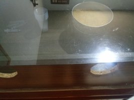 20190823_161755.jpg