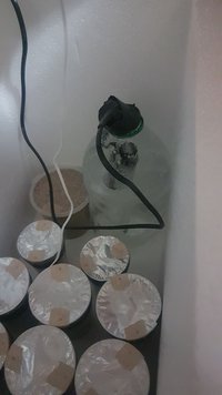 IMG-20190829-WA0092.jpeg